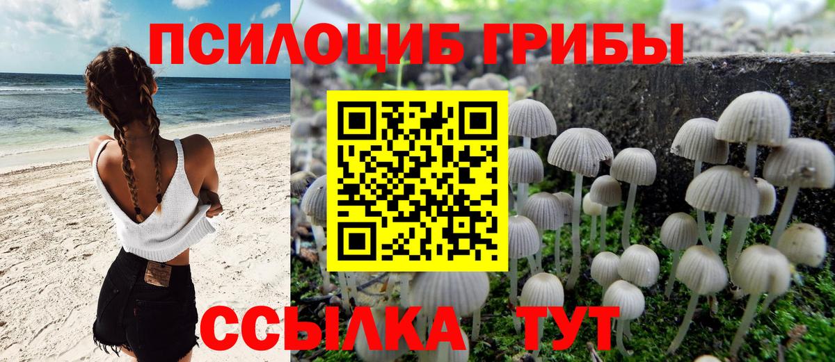 Галлюциногенные грибы прущие грибы Азов